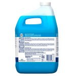1 gallon dawn dish soap