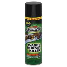 Wasp Spray