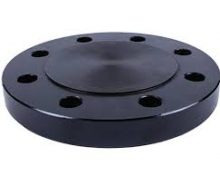 Blind Flange 600#